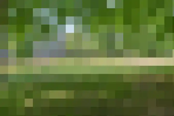 Le Sage ten Broeklaan 89 Eindhoven thumbnail 39