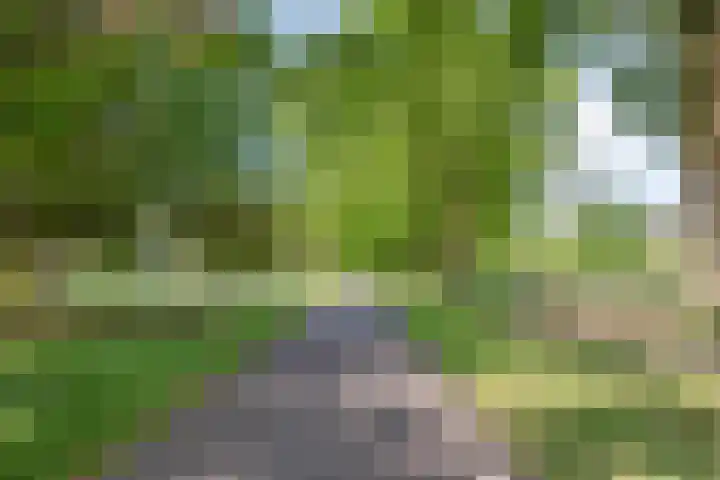 Le Sage ten Broeklaan 89 Eindhoven thumbnail 40
