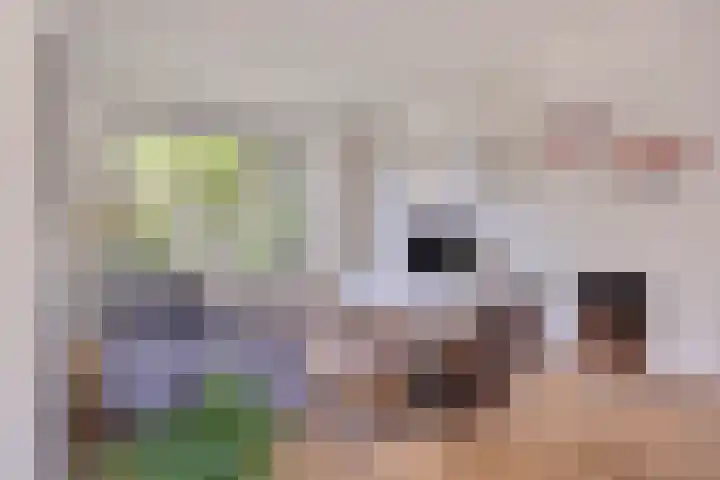 Le Sage ten Broeklaan 89 Eindhoven thumbnail 8