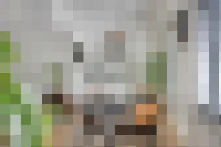 Le Sage ten Broeklaan 9 25 Eindhoven thumbnail 19