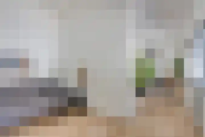 Le Sage ten Broeklaan 9 25 Eindhoven thumbnail 22