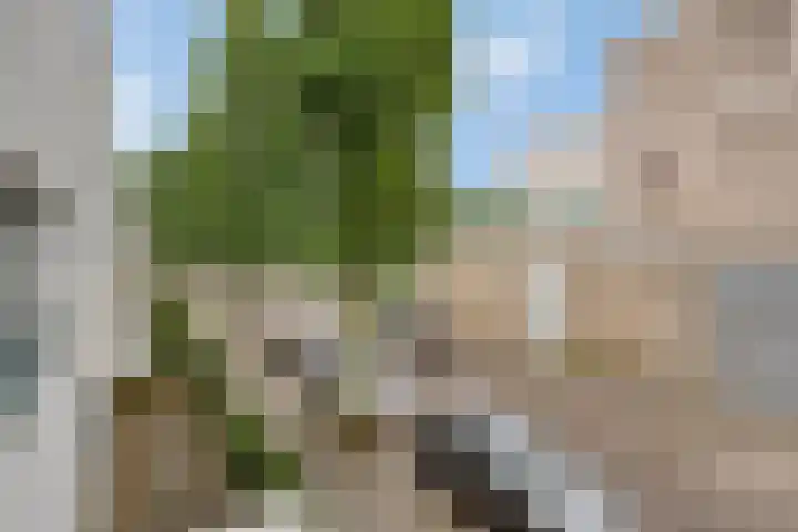 Le Sage ten Broeklaan 9 25 Eindhoven thumbnail 26