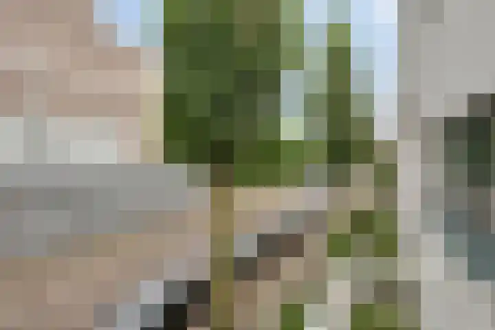 Le Sage ten Broeklaan 9 25 Eindhoven thumbnail 27