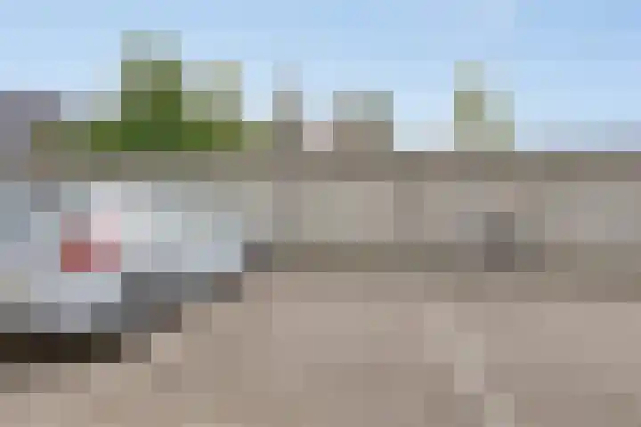 Le Sage ten Broeklaan 9 25 Eindhoven thumbnail 28