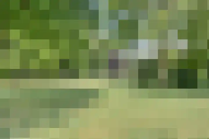 Le Sage ten Broeklaan 9 25 Eindhoven thumbnail 29