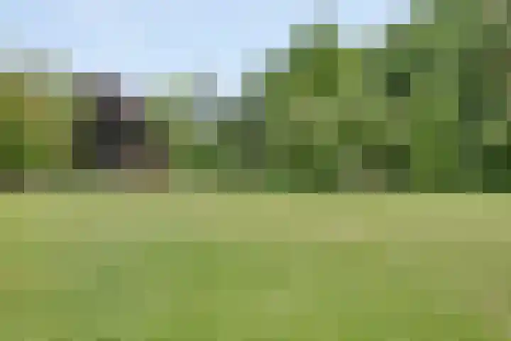 Le Sage ten Broeklaan 9 25 Eindhoven thumbnail 32