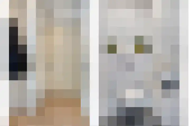 Le Sage ten Broeklaan 9 25 Eindhoven thumbnail 6