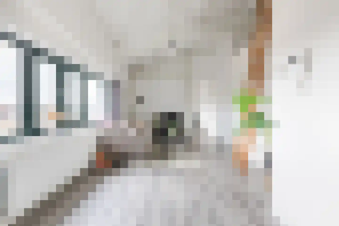 Le Sage ten Broeklaan 9 43 Eindhoven thumbnail 10