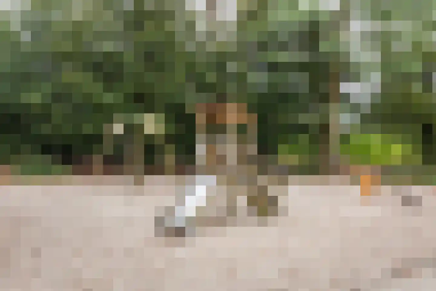 Le Sage ten Broeklaan 9 43 Eindhoven thumbnail 35