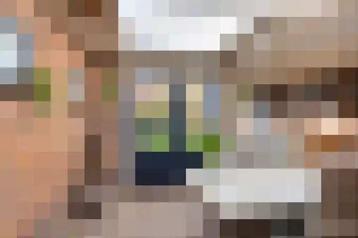 Le Sage ten Broekstraat 1 Grave thumbnail 16