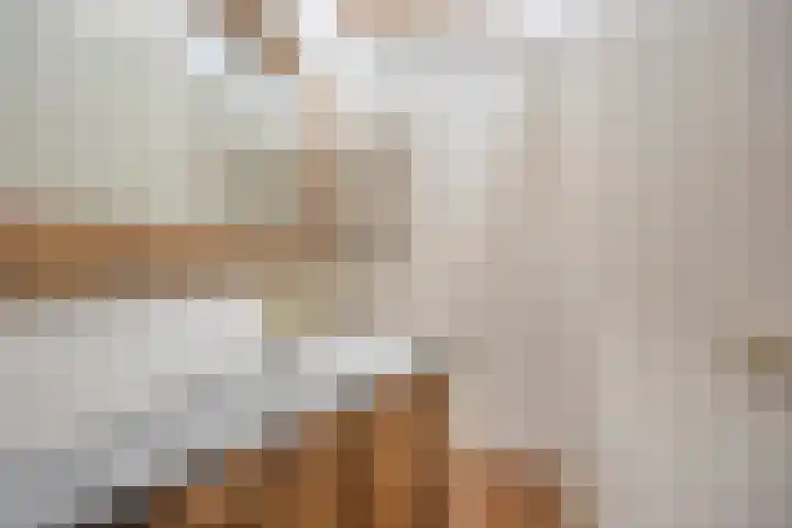 Le Sage ten Broekstraat 1 Grave thumbnail 26