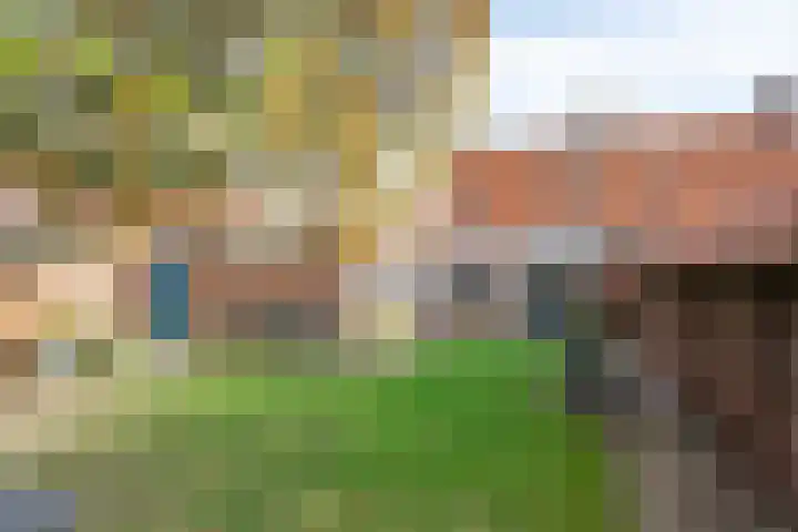 Le Sage ten Broekstraat 1 Grave thumbnail 29