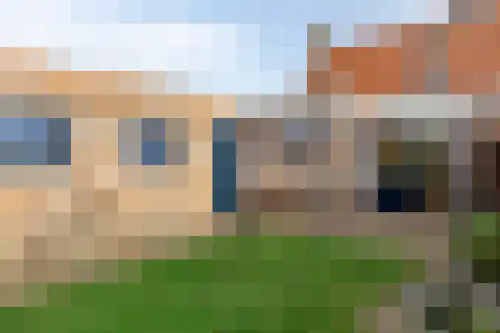 Le Sage ten Broekstraat 1 Grave thumbnail 30