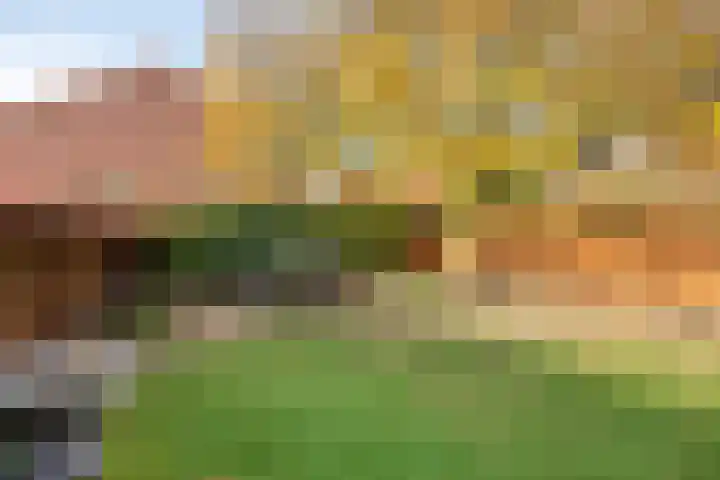 Le Sage ten Broekstraat 1 Grave thumbnail 32