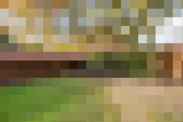 Le Sage ten Broekstraat 1 Grave thumbnail 33