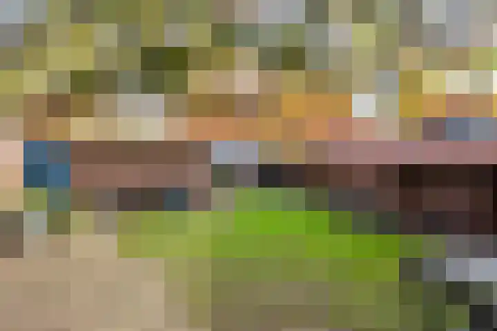 Le Sage ten Broekstraat 1 Grave thumbnail 34