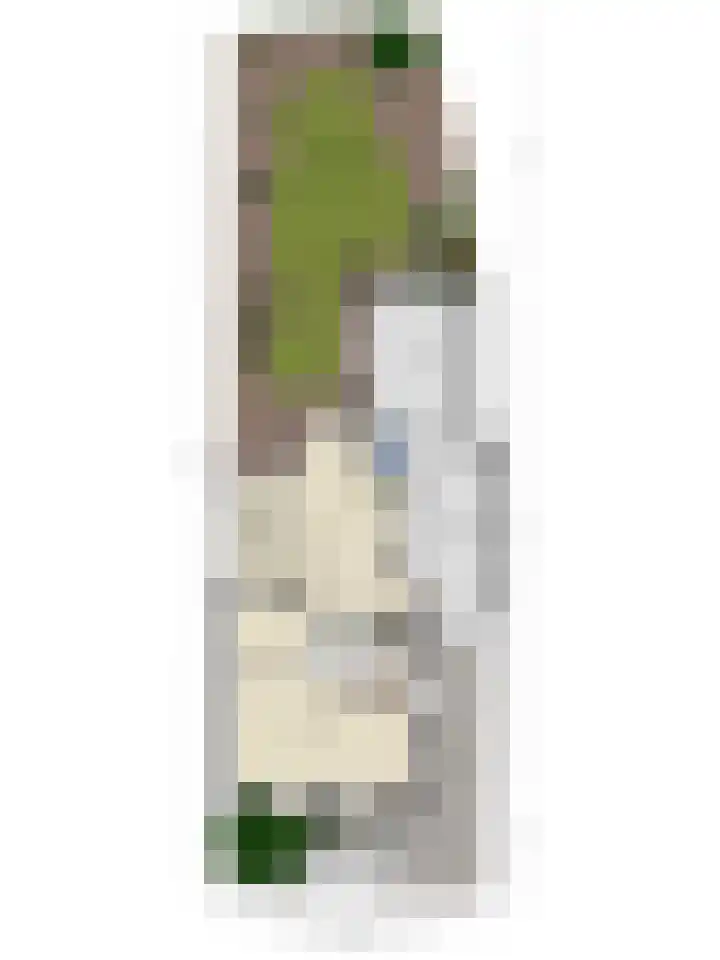 Le Sage ten Broekstraat 1 Grave thumbnail 38