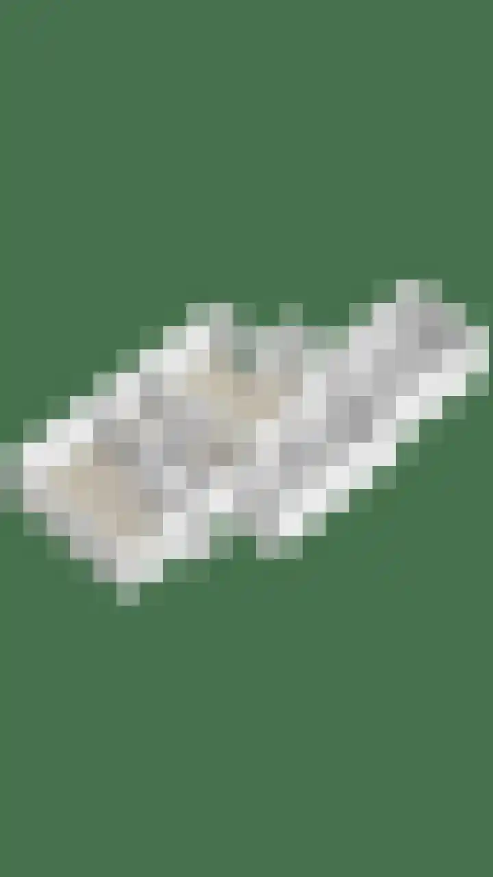 Le Sage ten Broekstraat 1 Grave thumbnail 41