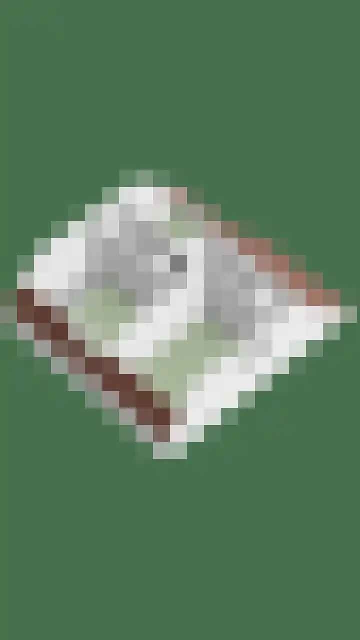 Le Sage ten Broekstraat 1 Grave thumbnail 43