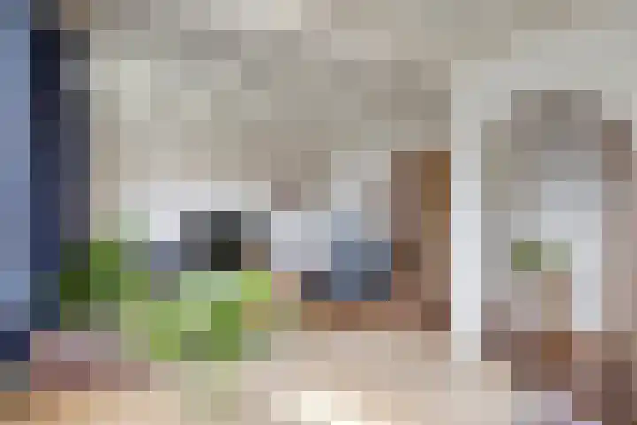 Le Sage ten Broekstraat 1 Grave thumbnail 6