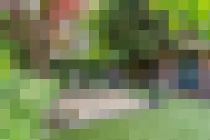 Le Sage ten Broekstraat 12 Grave thumbnail 21