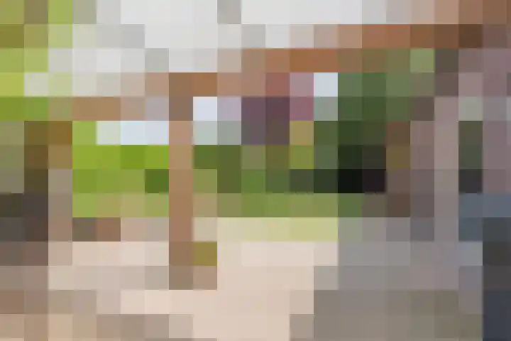 Le Sage ten Broekstraat 12 Grave thumbnail 22