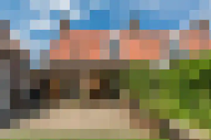 Le Sage ten Broekstraat 12 Grave thumbnail 23