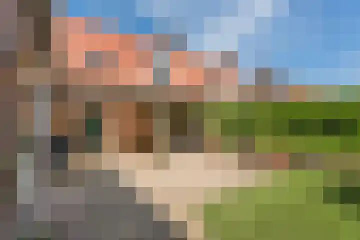 Le Sage ten Broekstraat 12 Grave thumbnail 24