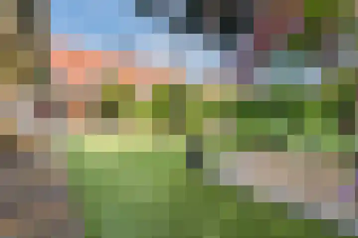 Le Sage ten Broekstraat 12 Grave thumbnail 4