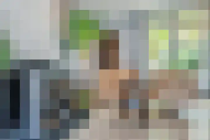 Le Sage ten Broekstraat 12 Grave thumbnail 6