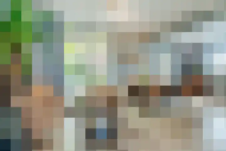 Le Sage ten Broekstraat 12 Grave thumbnail 7