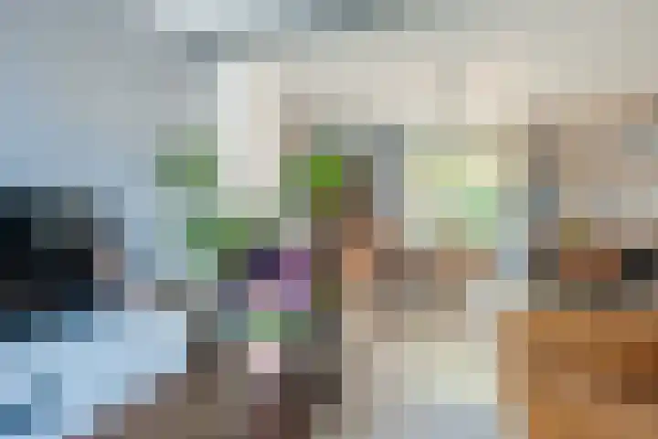 Le Sage ten Broekstraat 12 Grave thumbnail 8