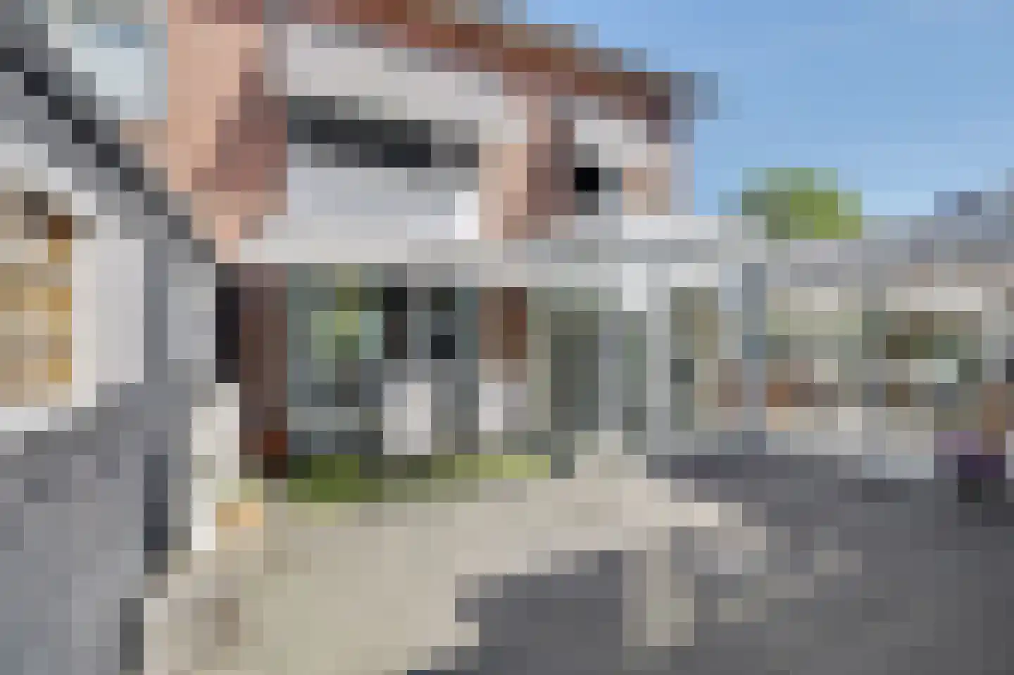 Le Sage ten Broekstraat 25 Valkenswaard thumbnail 37