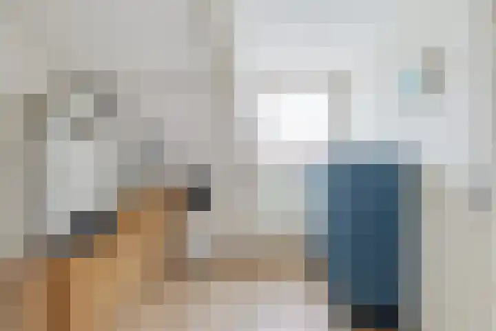 Le Sage ten Broekstraat 28 Tilburg thumbnail 47