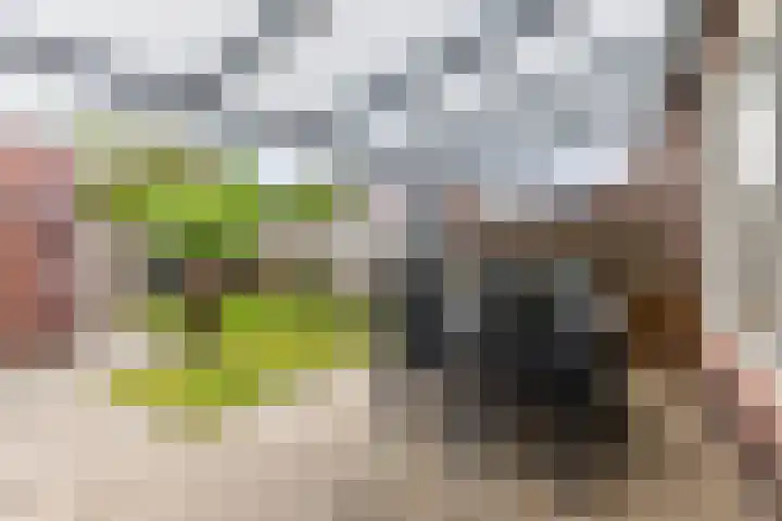 Le Sage ten Broekstraat 39 Valkenswaard thumbnail 5