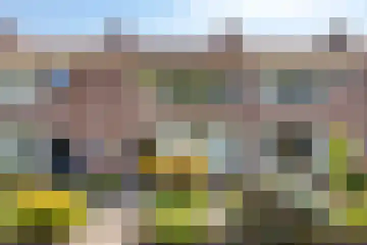 Le Sage ten Broekstraat 55 Valkenswaard thumbnail 4