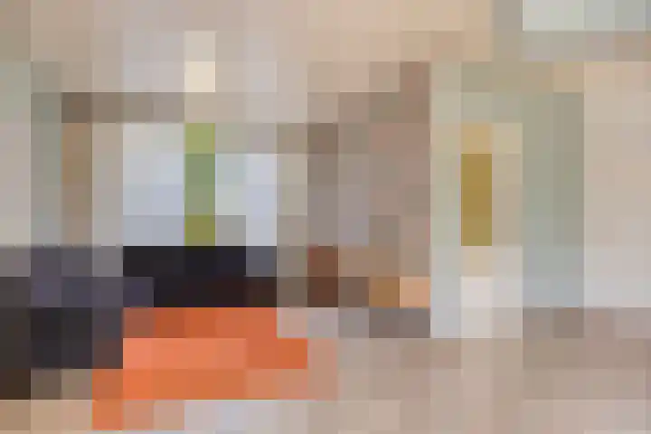 Le Sage ten Broekstraat 55 Valkenswaard thumbnail 6