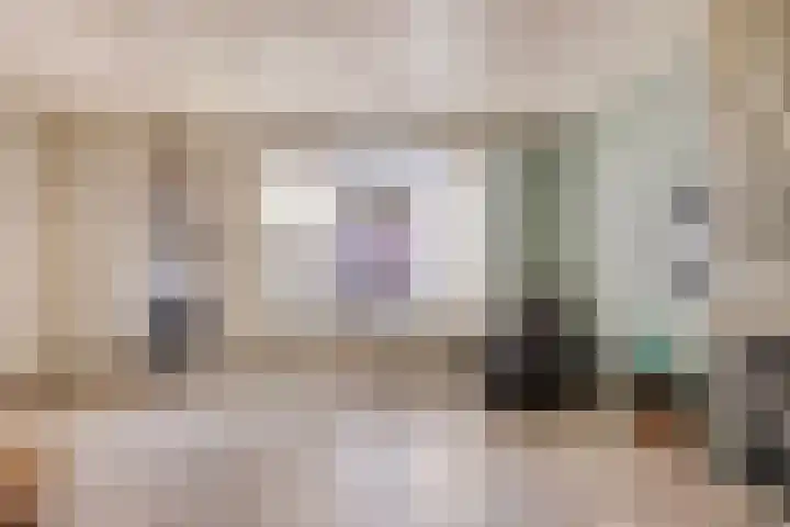 Le Sage ten Broekstraat 55 Valkenswaard thumbnail 8