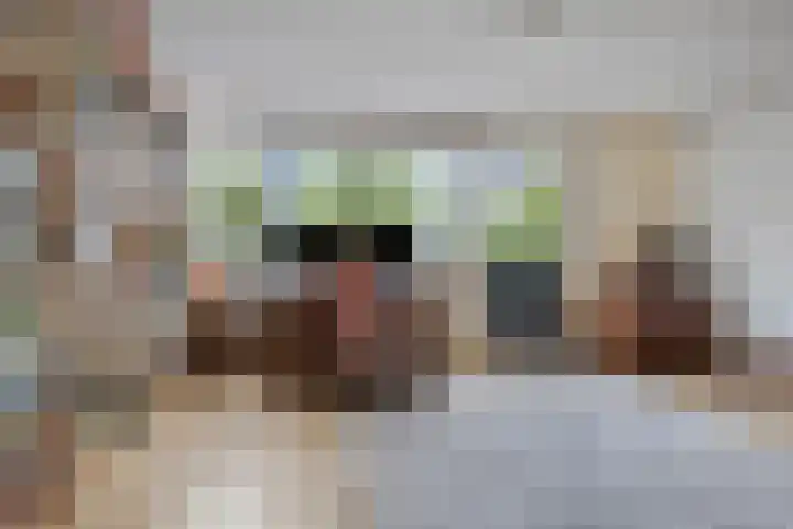 Le Tourmalet 24 Amsterdam thumbnail 29