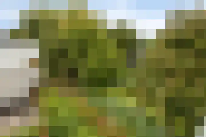 Le Tourmalet 24 Amsterdam thumbnail 35