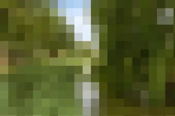 Le Tourmalet 24 Amsterdam thumbnail 36