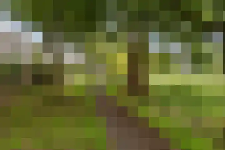 Le Tourmalet 24 Amsterdam thumbnail 38