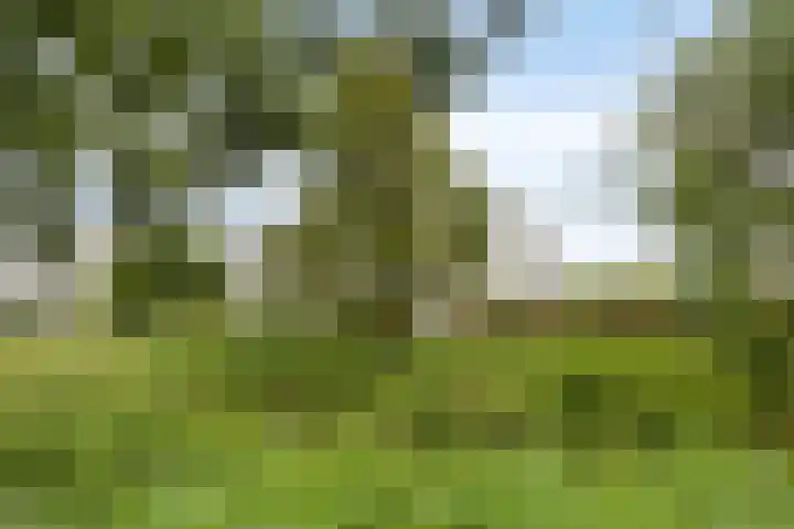 Le Tourmalet 24 Amsterdam thumbnail 39
