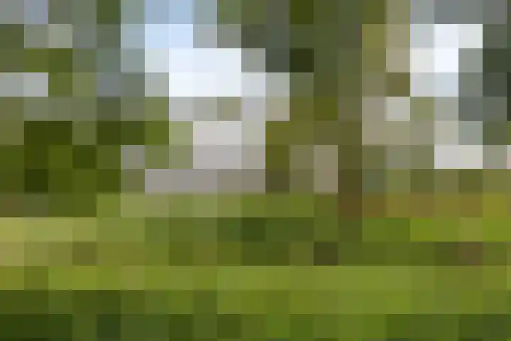 Le Tourmalet 24 Amsterdam thumbnail 57
