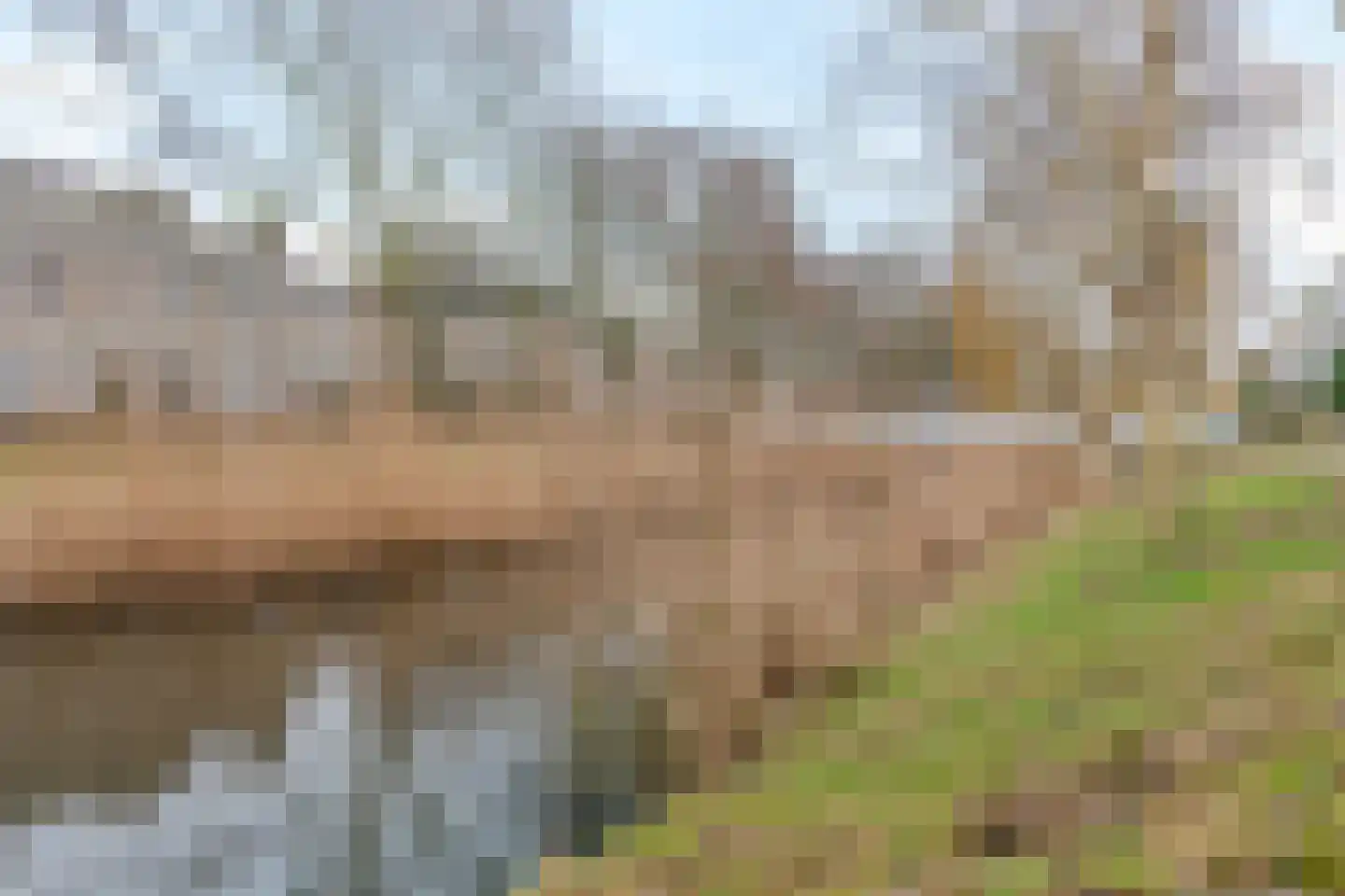 Le Tourmalet 26 Amsterdam thumbnail 40