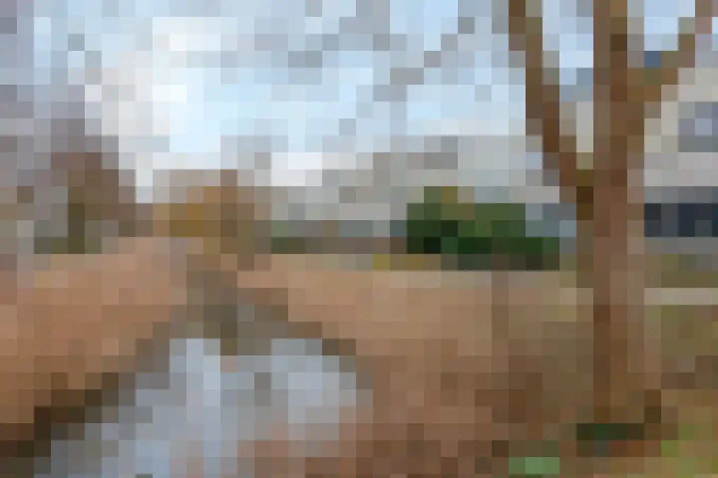 Le Tourmalet 26 Amsterdam thumbnail 42