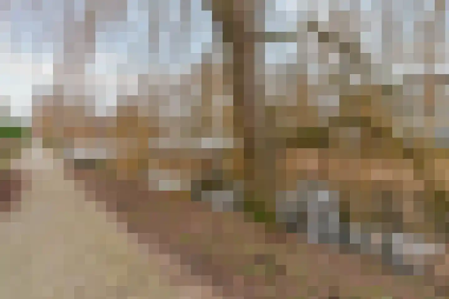 Le Tourmalet 26 Amsterdam thumbnail 43