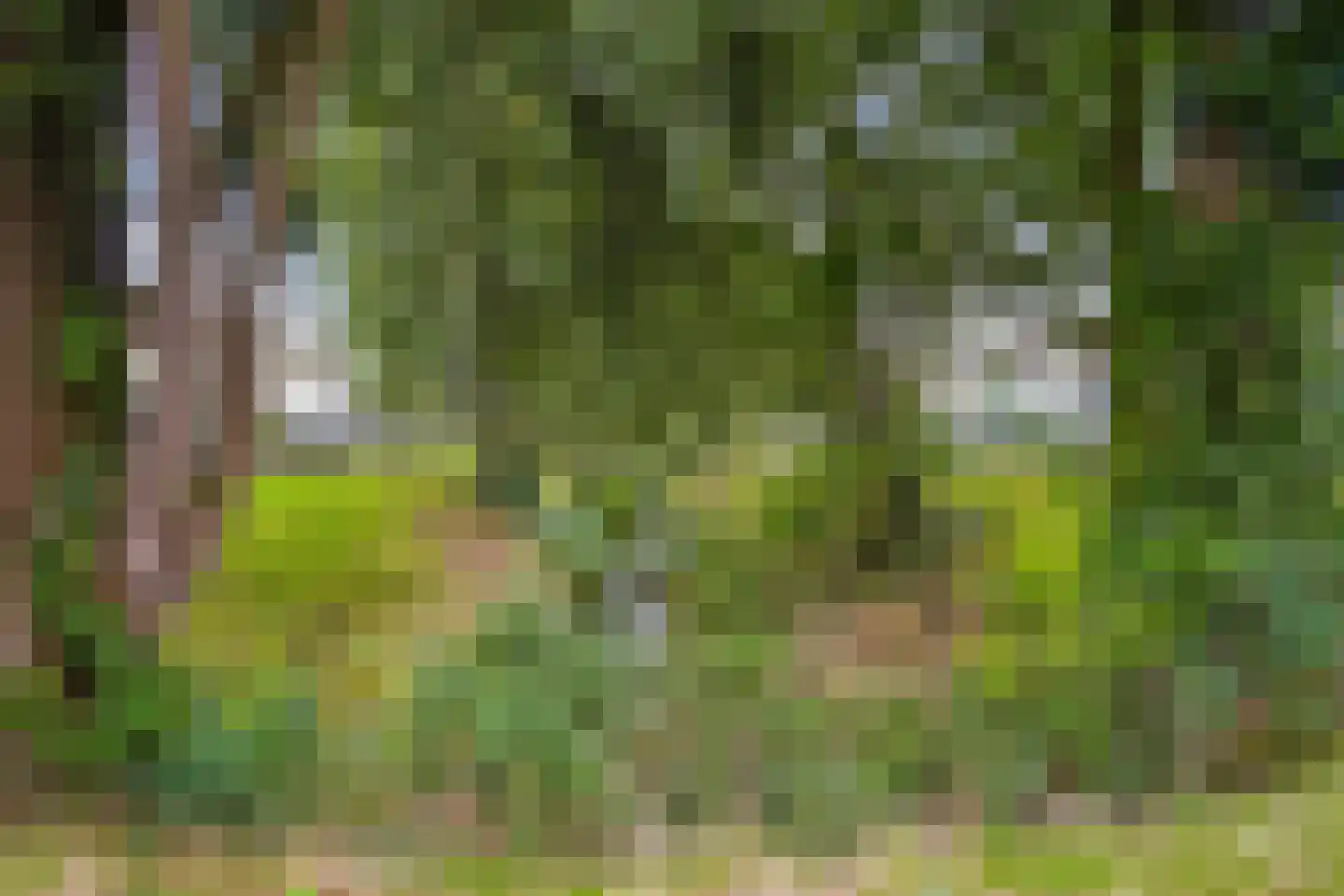 Le Tourmalet 27 Amsterdam thumbnail 31