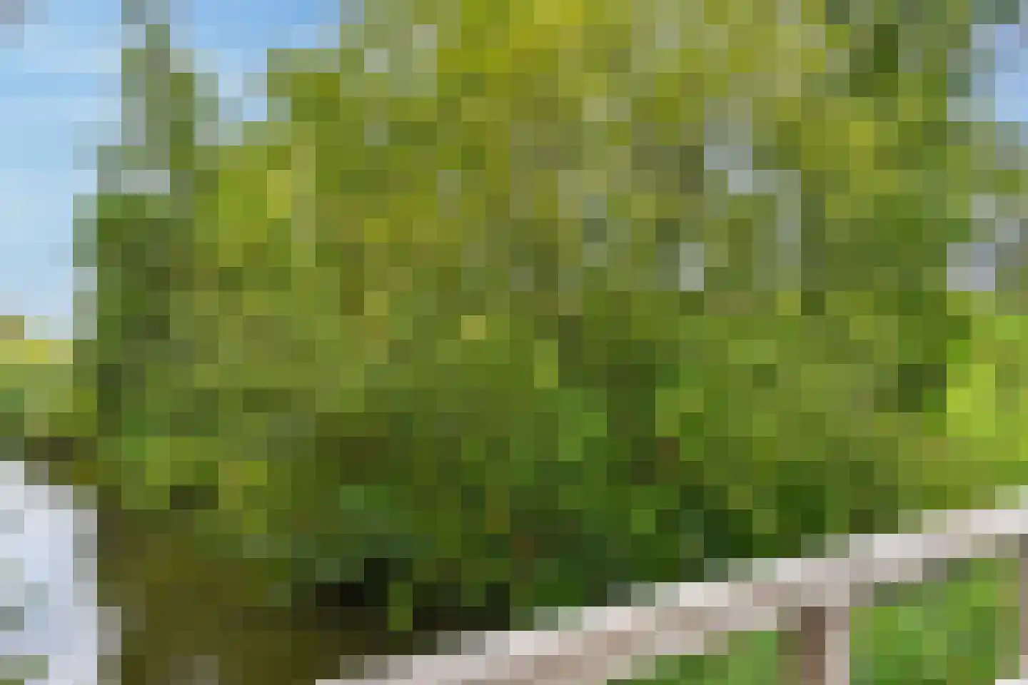 Le Tourmalet 27 Amsterdam thumbnail 32