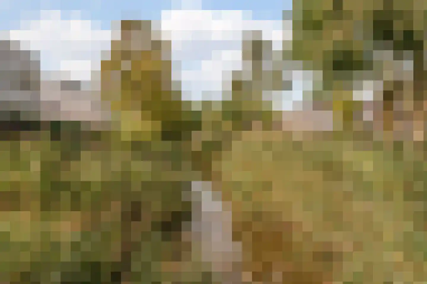 Le Tourmalet 36 Amsterdam thumbnail 44